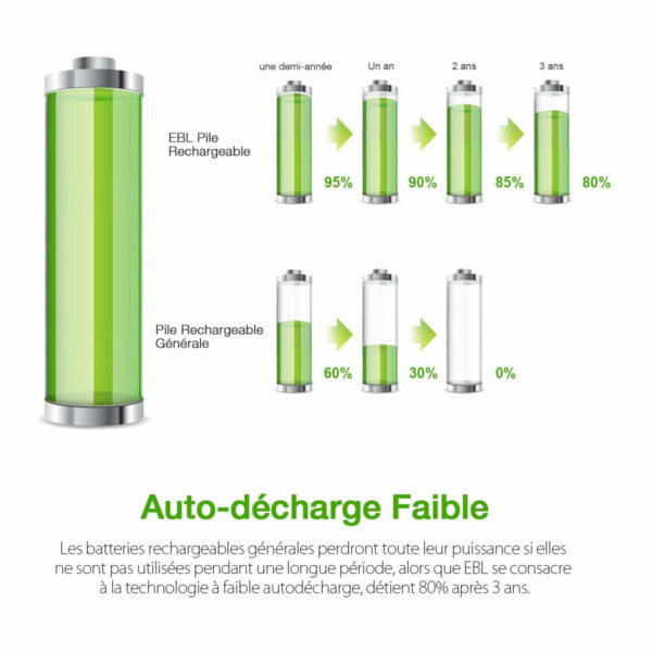 10 piles rechargeables AAA (HR03) 1100 mAh Ni-Mh